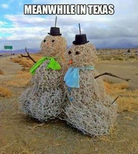 tumbleweed snowman