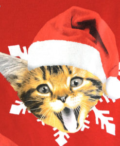 Kitties in Santa Hats Crazy Cat Dude Ugly Christmas Sweatshirt