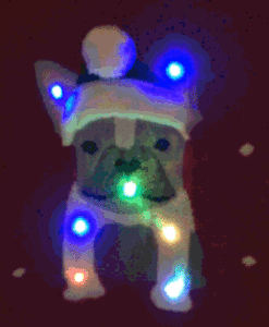 French Bulldog Light Up Tacky Ugly Christmas Sweater