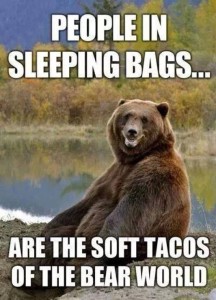 People-in-sleeping-bags---bear-meme